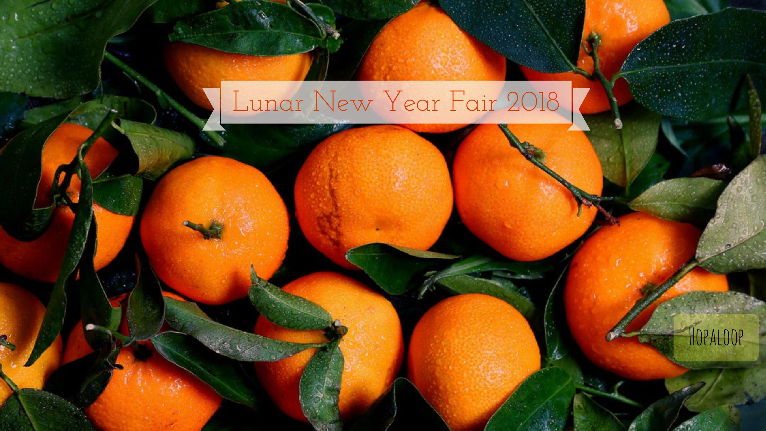 CNY Lunar New Year Fair 2018