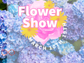 Hong Kong Flower Show 2023